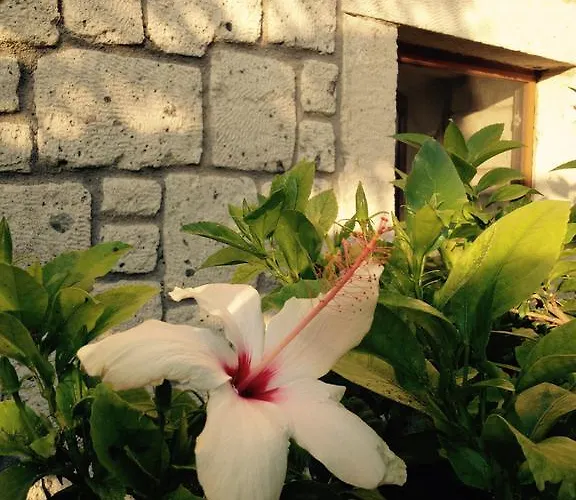 Pasha Port & Restaurant Αλακάτι