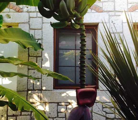 Ξενοδοχείο Pasha Port & Restaurant 3*